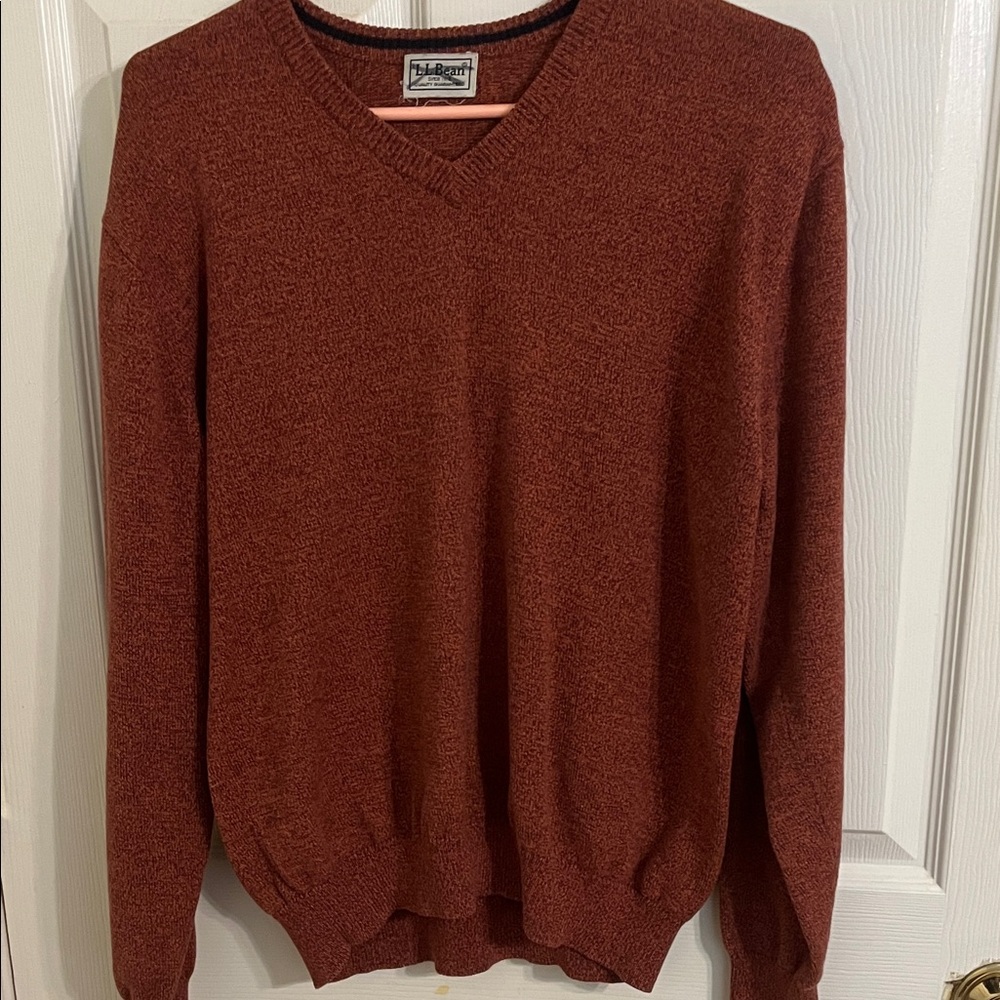 L.L. Bean Men's Brick V-Neck Sweater